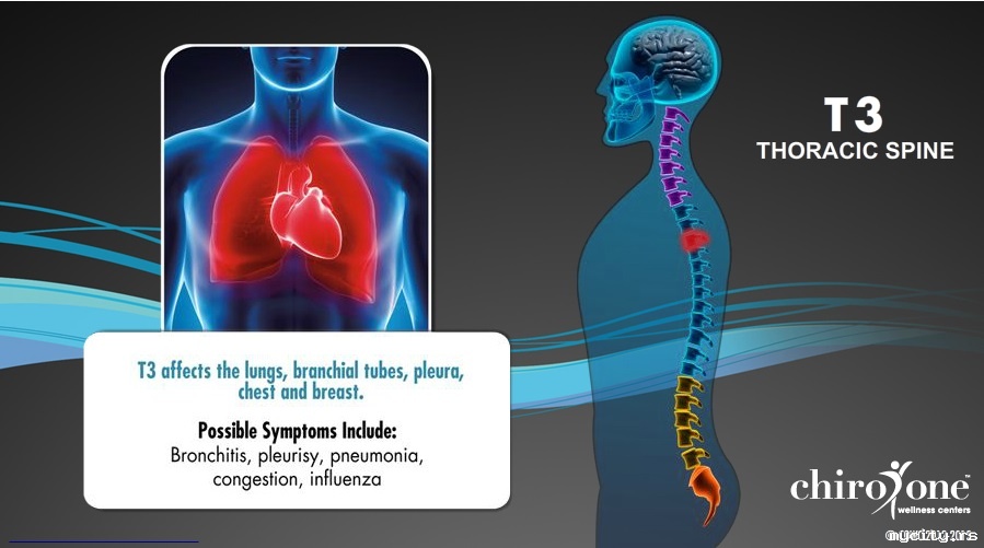 interaktivna mapa kičme..