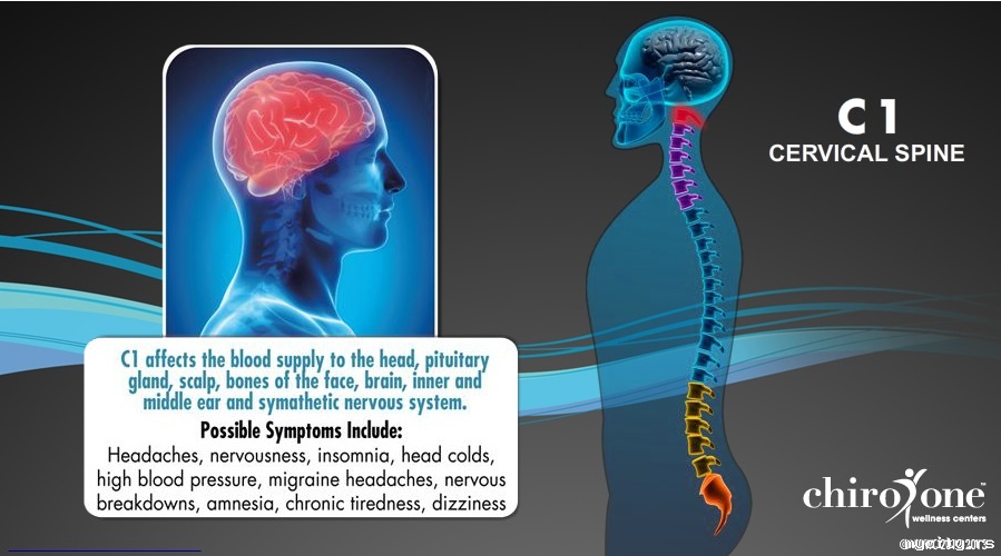 interaktivna mapa kičme..